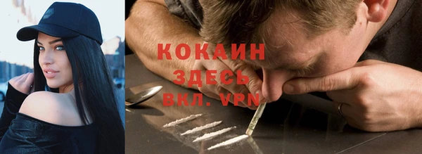 сатива Рославль