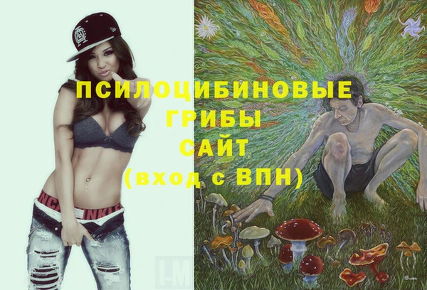 молекула духа Алексеевка