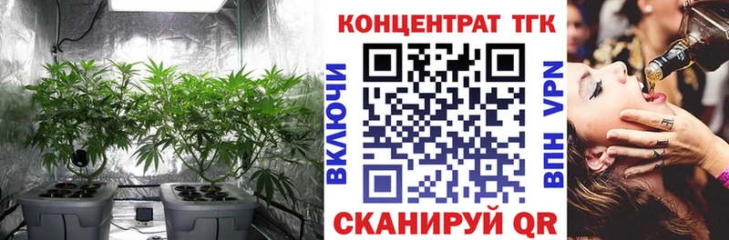 Дистиллят ТГК Wax дарнет шоп блэк спрут онион Карталы