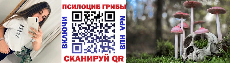 купить закладку  Карталы  ОМГ ОМГ сайт  Галлюциногенные грибы прущие грибы 