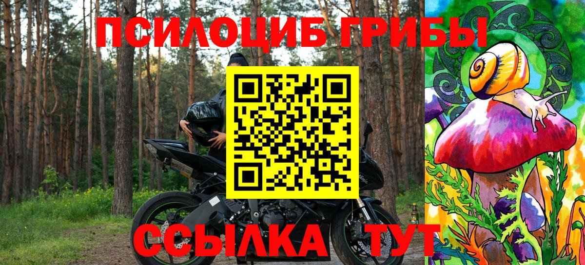 Псилоцибиновые грибы Psilocybine cubensis  Вход с VPN  Карталы 